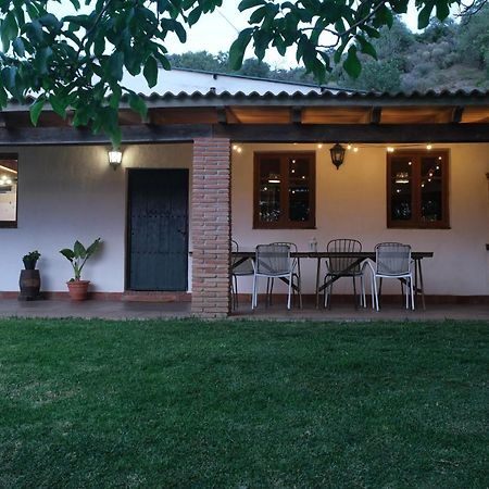 The Wild Olive Andalucia Palma Guestroom Casares Kültér fotó