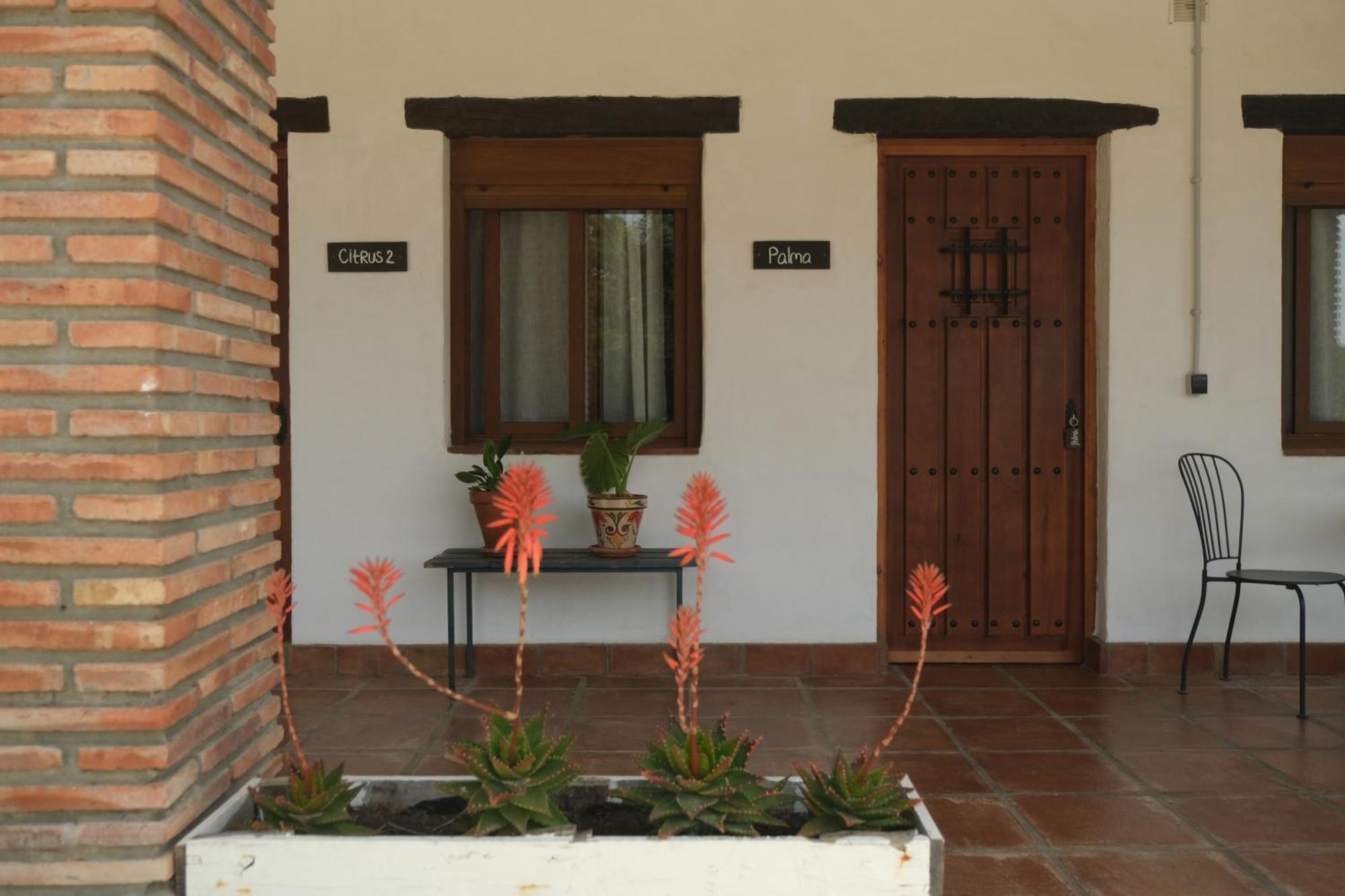 The Wild Olive Andalucia Palma Guestroom Casares Kültér fotó
